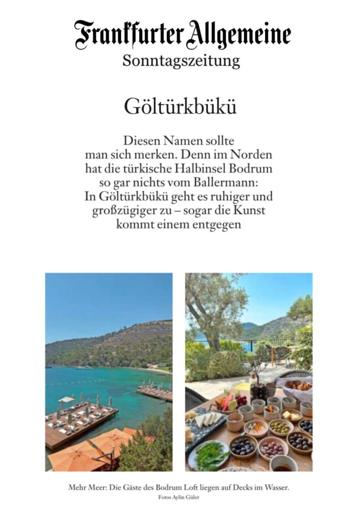 Frankfurter Allgemeine Sonntagszeitung 27 August 2023 724x1024 1