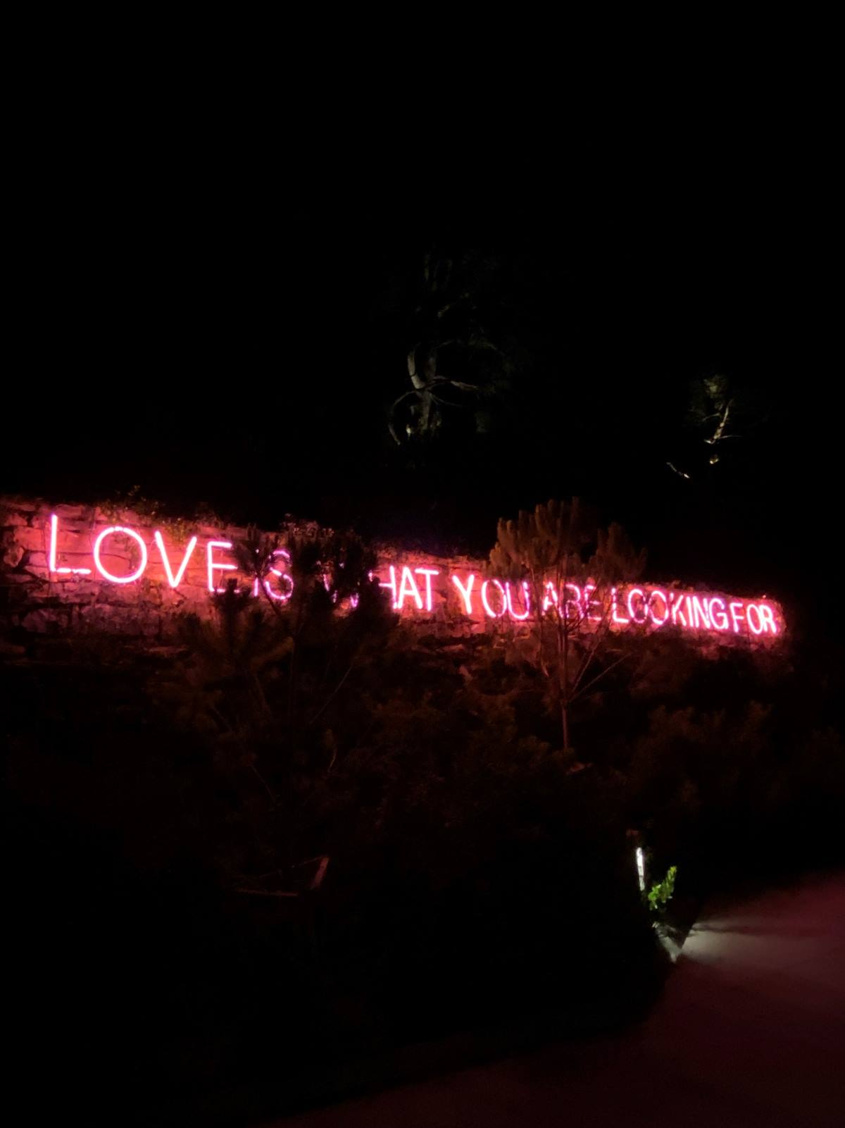 1626705441 Ruby Anemic   Love is What You Are Looking For